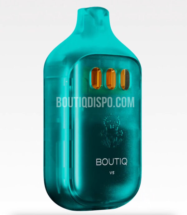 Boutiq Switch V5 - Image 3